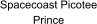 Spacecoast Picotee Prince